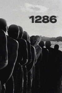 1286 (2023)