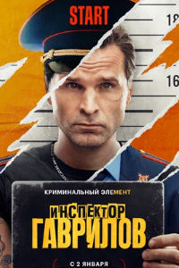 Инспектор Гаврилов (2024)